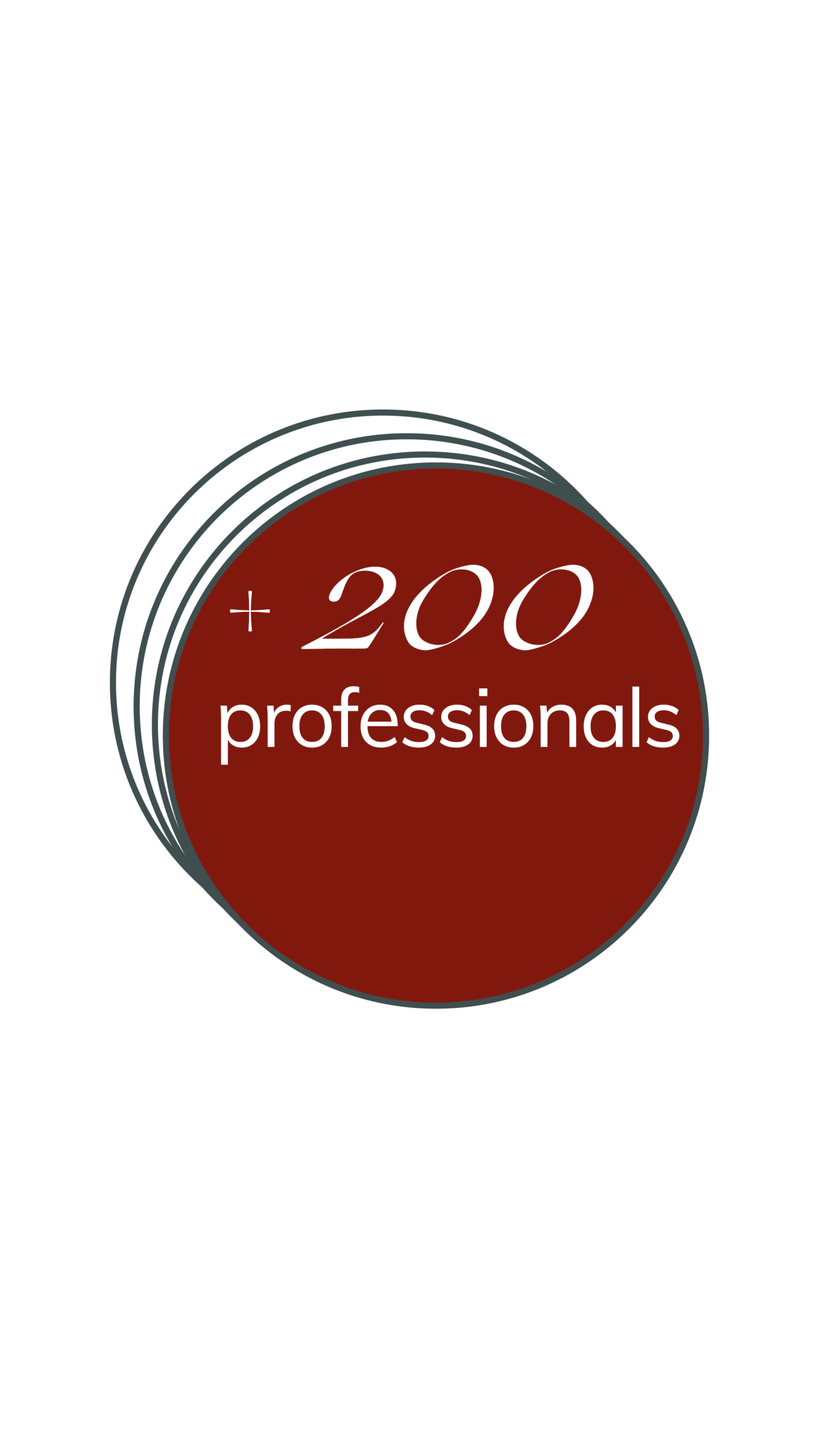 +200 professionals