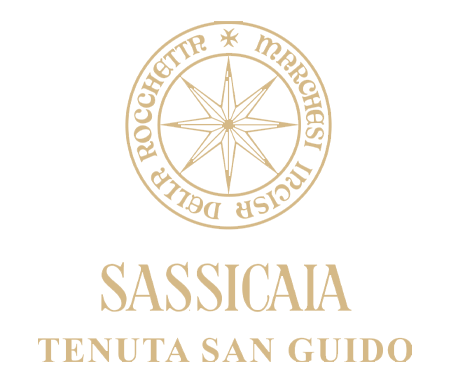 Sassicaia - Luxury Drinks