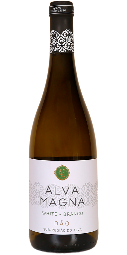 Alva Magna Branco