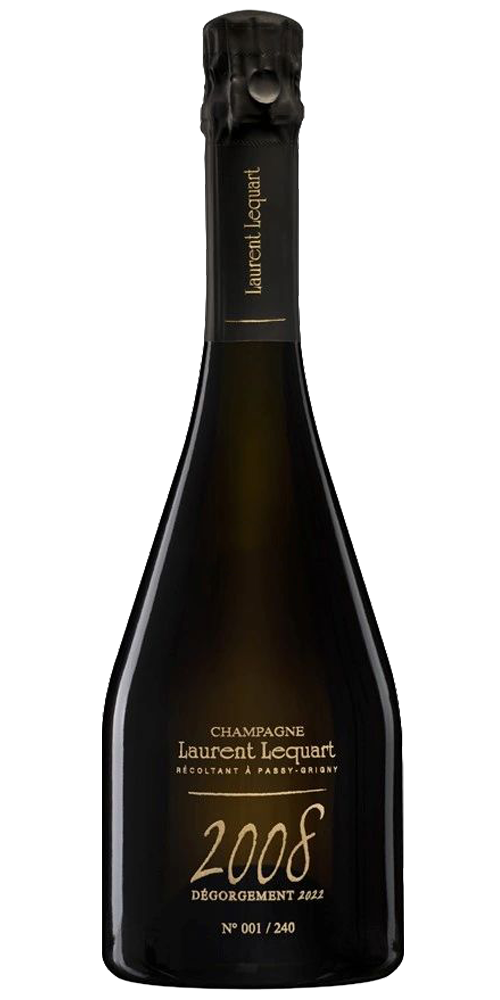 Laurent Lecquart 2008