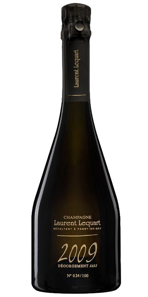 Laurent Lecquart 2009